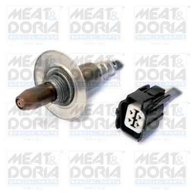 Oxygen Sensor